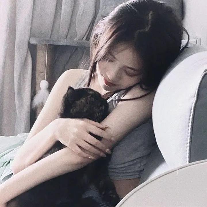 史前狂鲨